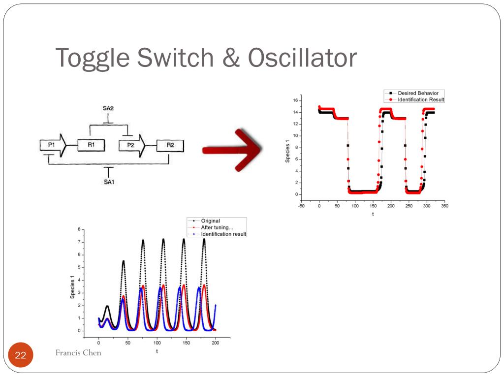 PPT Synthetic Biology with Engineering Tools PowerPoint Presentation