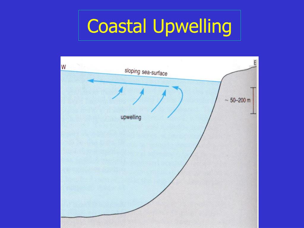 PPT Coastal Upwelling PowerPoint Presentation, free