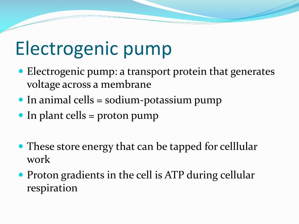 PPT 7.4 PowerPoint Presentation, free download ID2406319