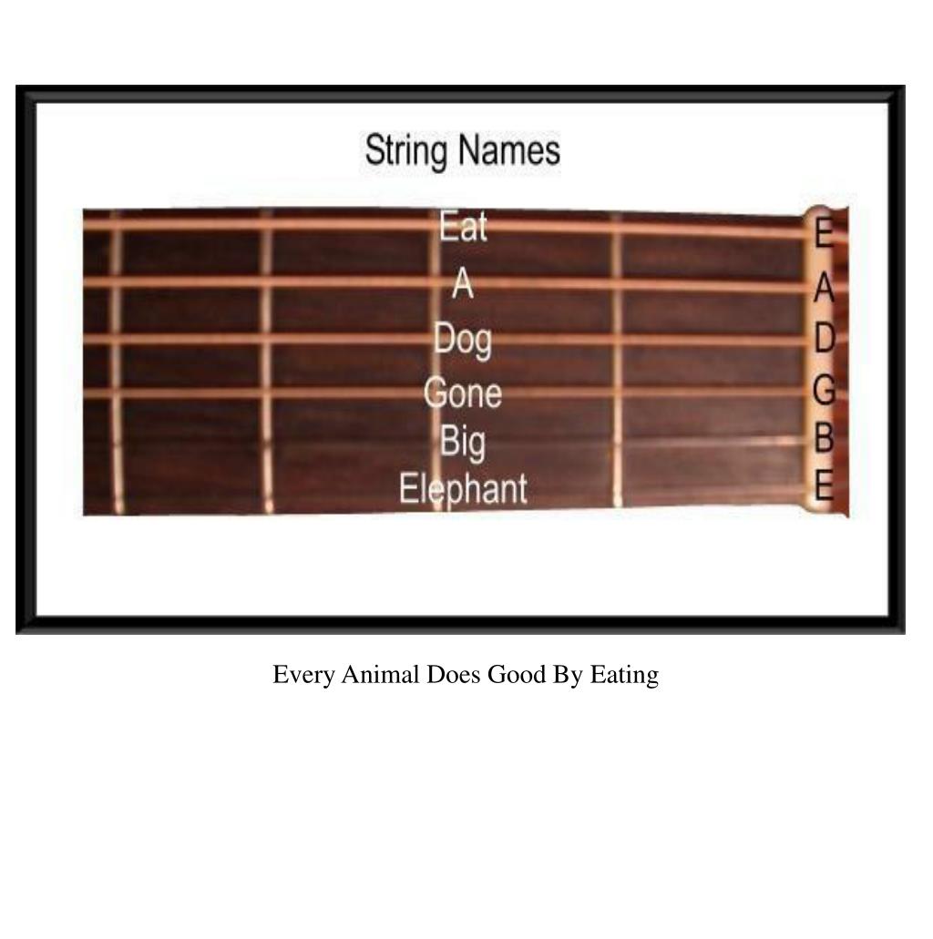 PPT Guitar Basics How to hold the instrument String