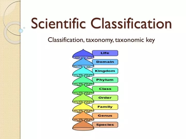PPT Scientific Classification PowerPoint Presentation, free download