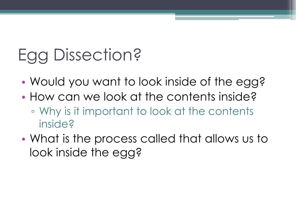 PPT Poultry PowerPoint Presentation, free download ID2413102
