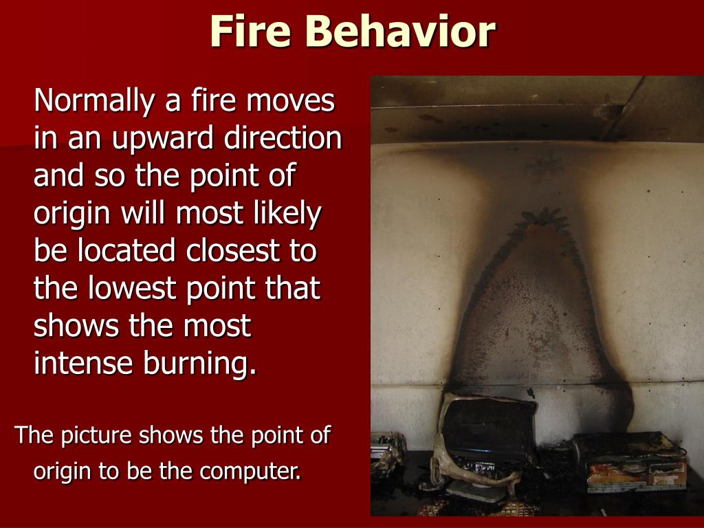 PPT Arson PowerPoint Presentation, free download ID2413174