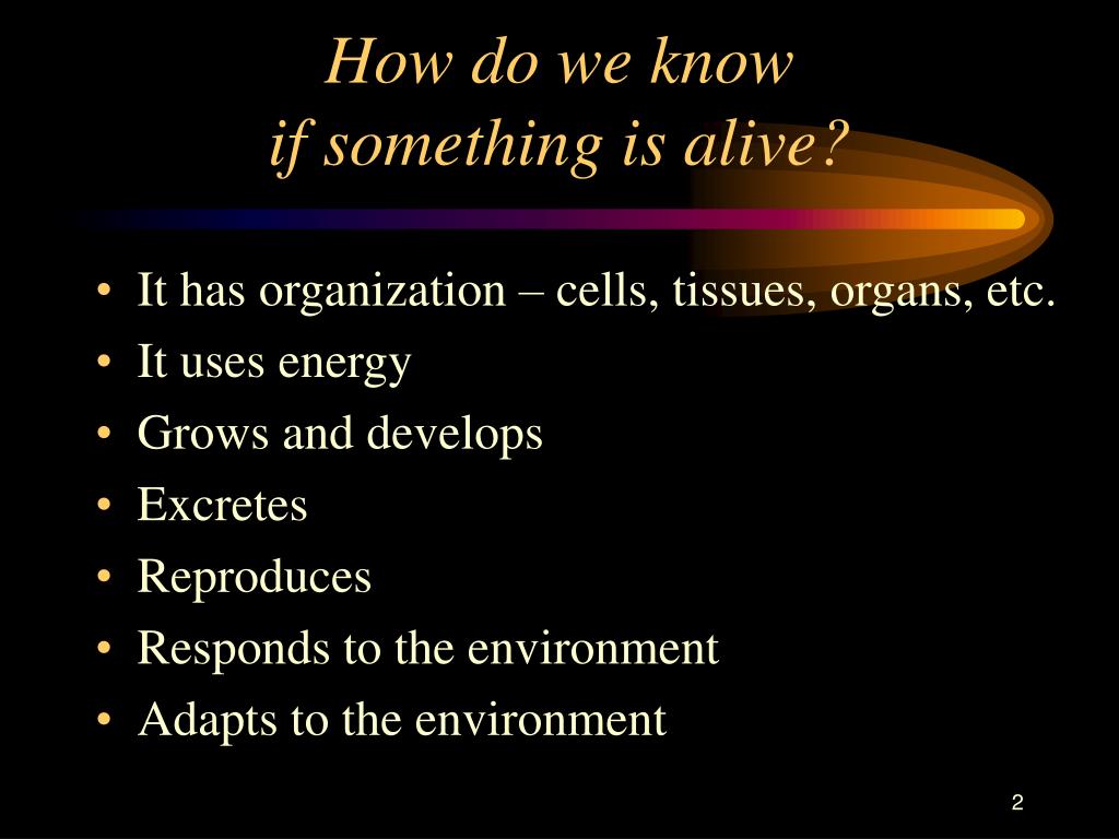 PPT 1.2.3. Characteristics of Life PowerPoint Presentation, free
