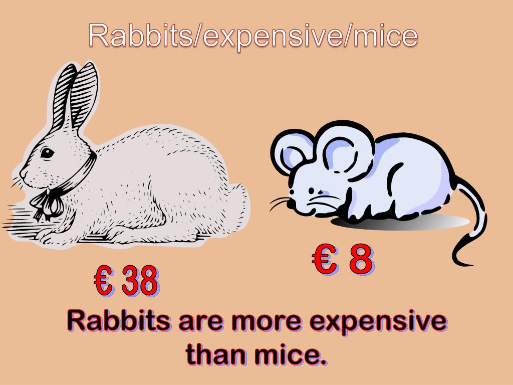 PPT At the pet shop PowerPoint Presentation, free download ID2414733