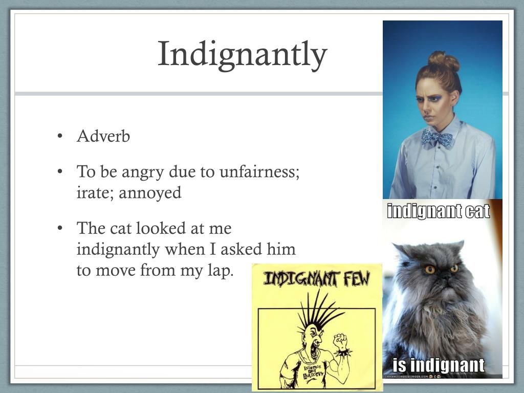 PPT Vocabulary 3A PowerPoint Presentation, free download ID2414953