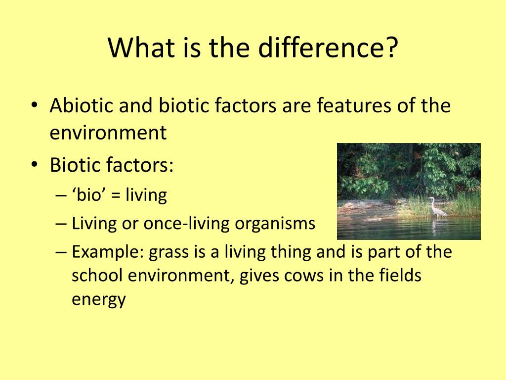 PPT Abiotic and Biotic Factors PowerPoint Presentation, free download