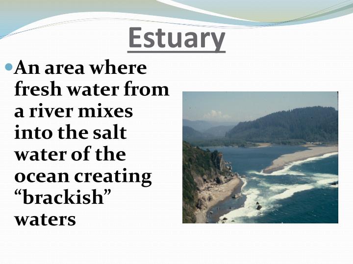 PPT Marine Ecosystems PowerPoint Presentation ID2415396