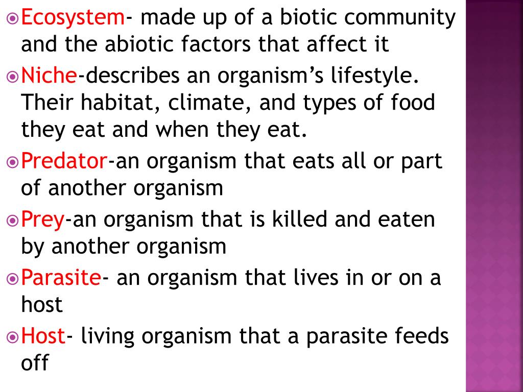 PPT Biotic Abiotic Tropism Limiting Factors PowerPoint