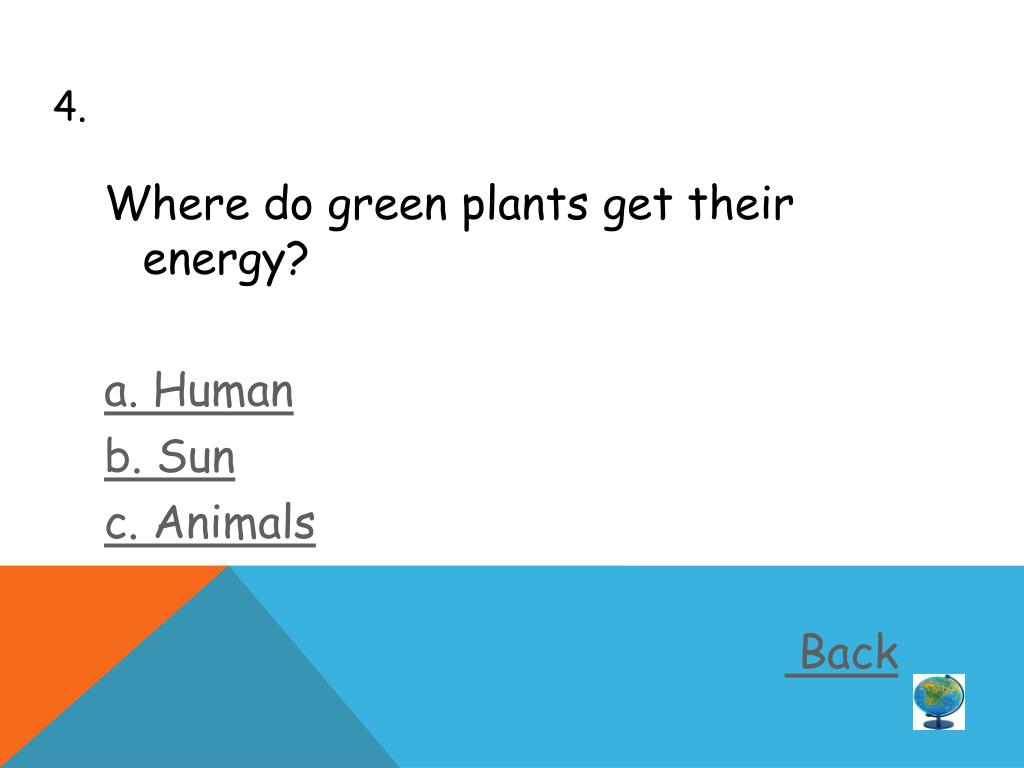 PPT INTERRELATIONSHIP IN THE ECOSYSTEM PowerPoint Presentation, free