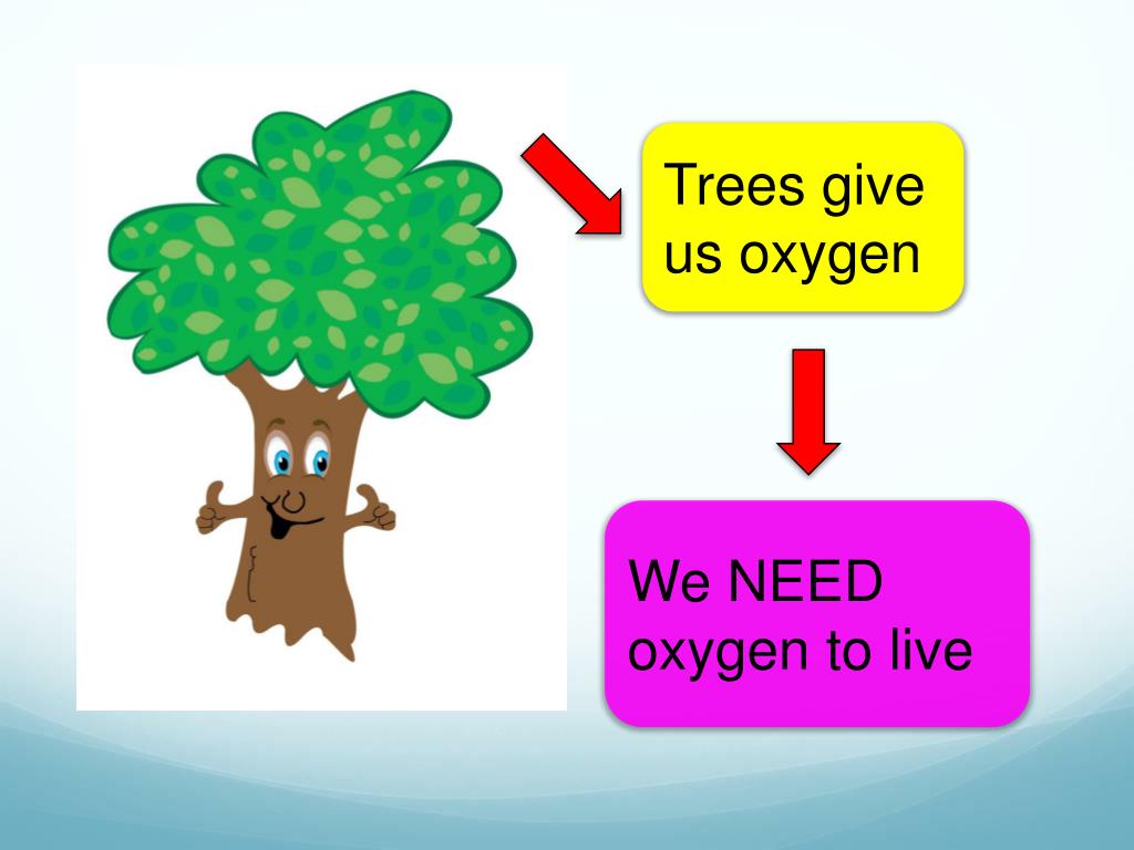 PPT Why is the environment important? PowerPoint Presentation, free download ID2421268