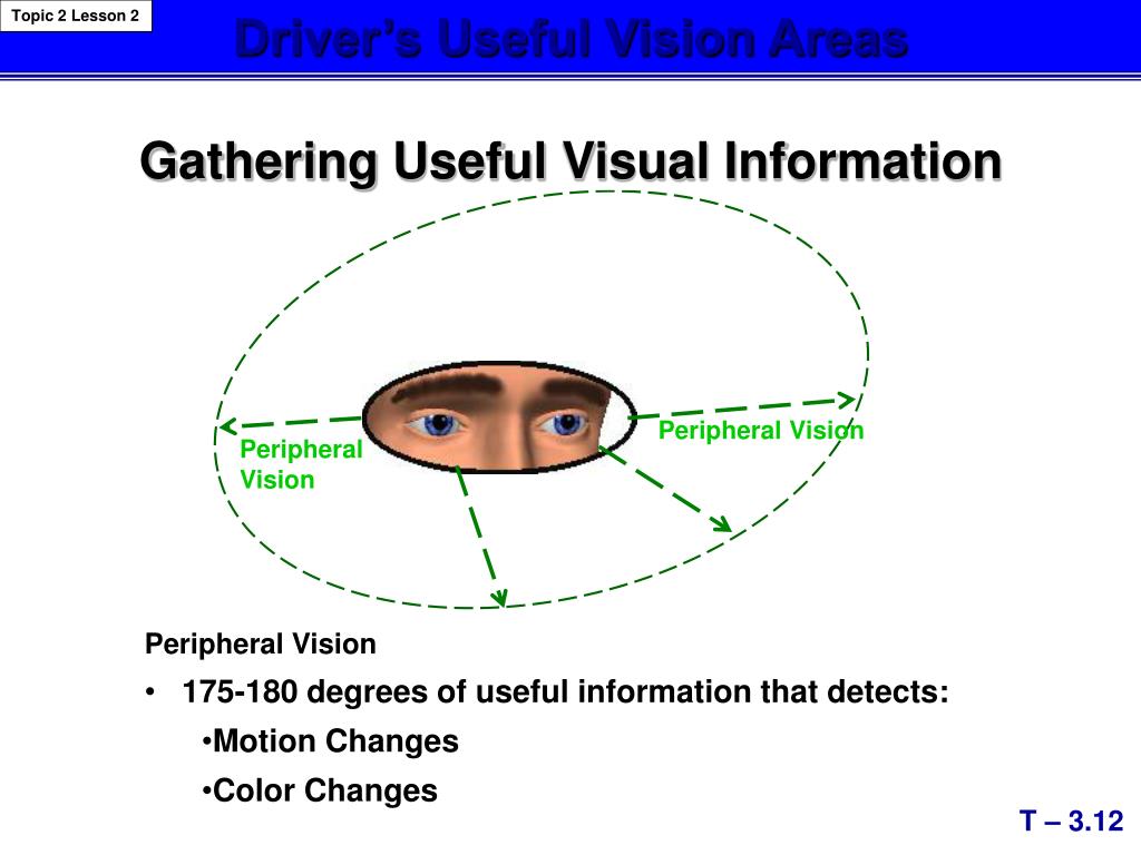 PPT - Gaining Visual Information - Focus Vision - Central Vision