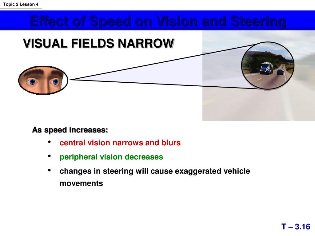 PPT - Gaining Visual Information - Focus Vision - Central Vision