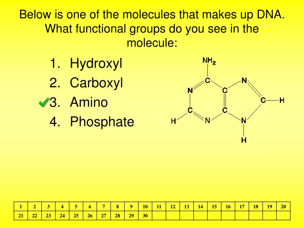 PPT NUCLEIC ACIDS PowerPoint Presentation, free download ID2421509