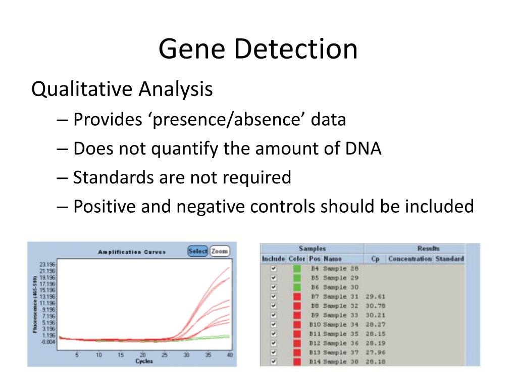PPT What Can You Do With qPCR? PowerPoint Presentation, free download