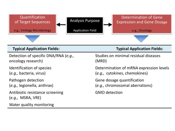 PPT What Can You Do With qPCR? PowerPoint Presentation ID2424043