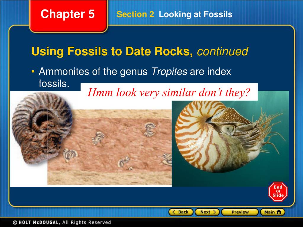 PPT Preview PowerPoint Presentation, free download ID2424452