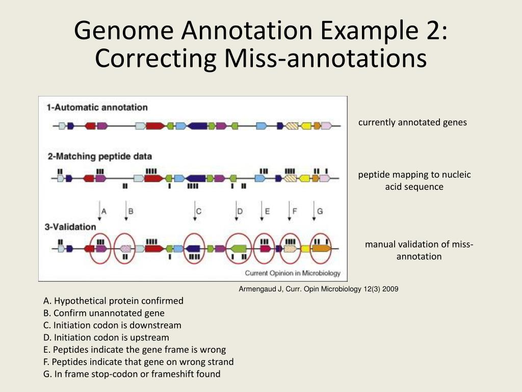 PPT Proteogenomics PowerPoint Presentation, free download ID2425325