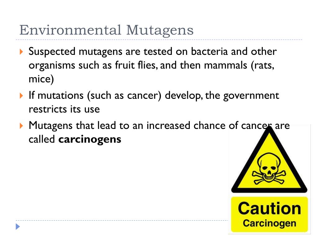 PPT Cell Biology Protein Synthesis PowerPoint Presentation, free