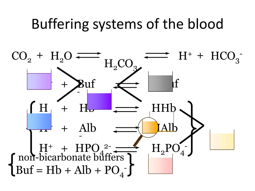 PPT Integrative Physiology PowerPoint Presentation, free download