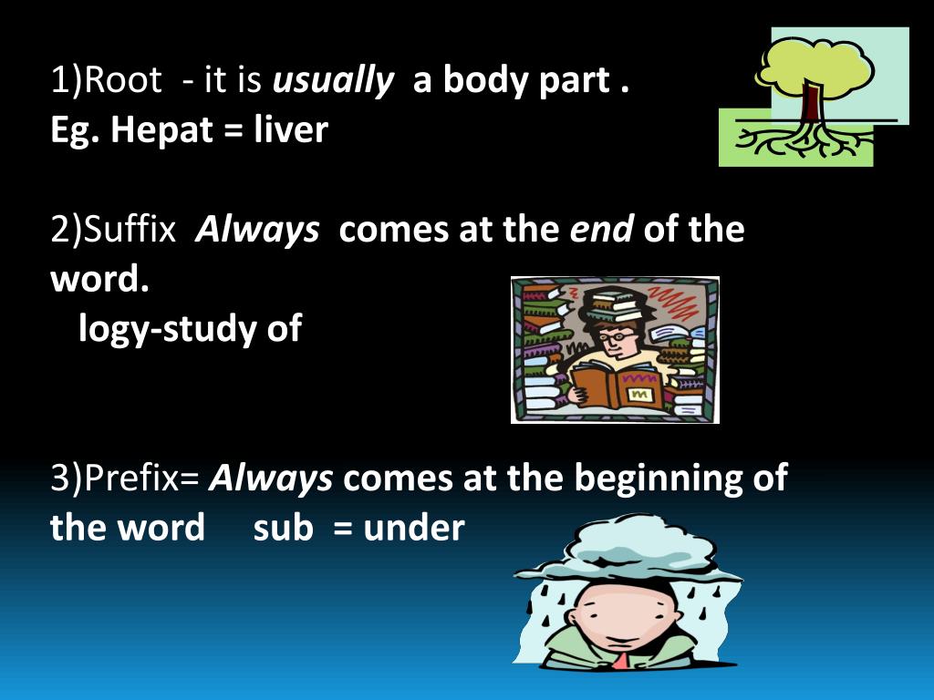 PPT What is word analysis in medical terminology? PowerPoint
