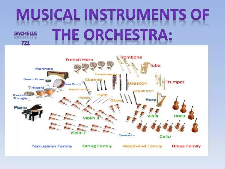 PPT Musical instruments of the orchestra PowerPoint Presentation
