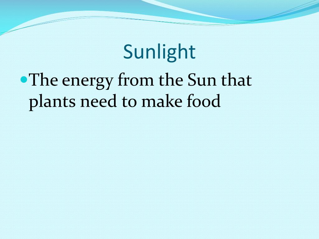 PPT Plants and Animals Basic Needs and Characteristics PowerPoint