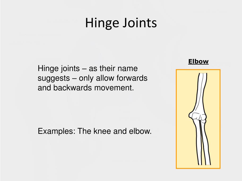 PPT Unit 1 Types of Joints PowerPoint Presentation, free download