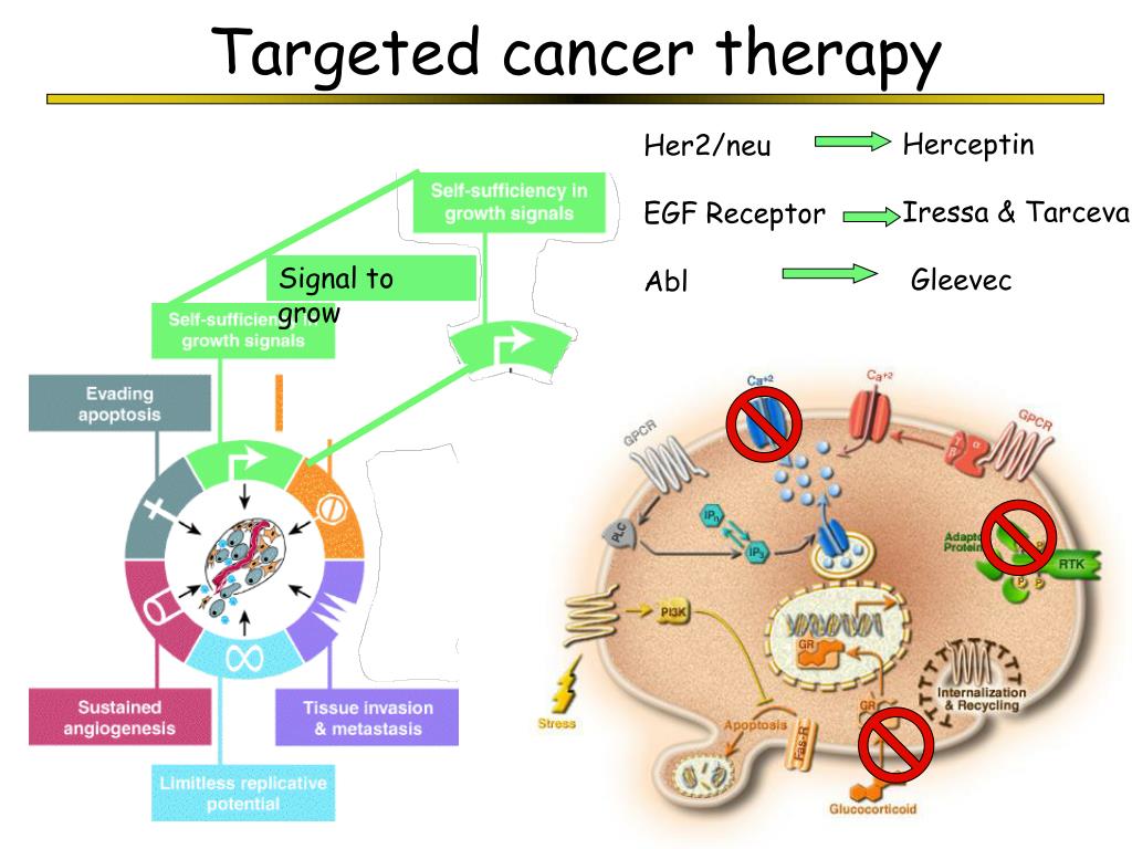 PPT The Evolution of Cancer PowerPoint Presentation, free download