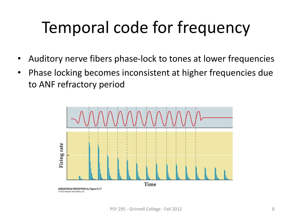 PPT Auditory Physiology 2 PowerPoint Presentation, free download ID