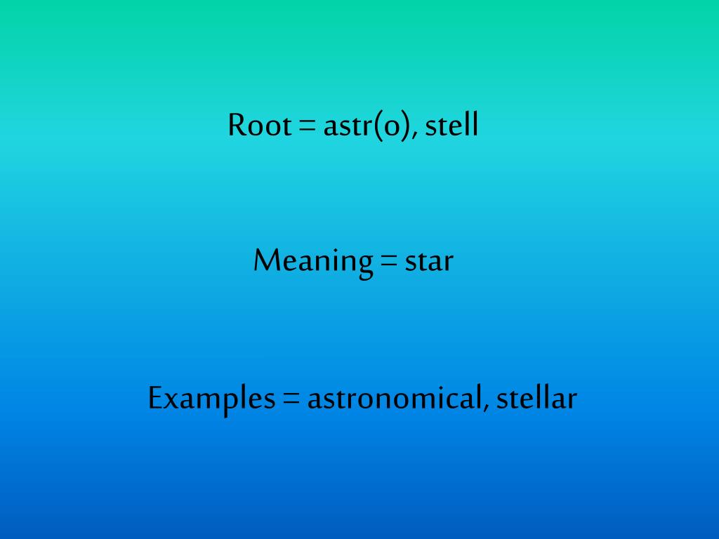 PPT Root = bio, vit PowerPoint Presentation, free download ID2440151