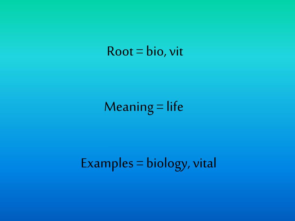PPT Root = bio, vit PowerPoint Presentation, free download ID2440151