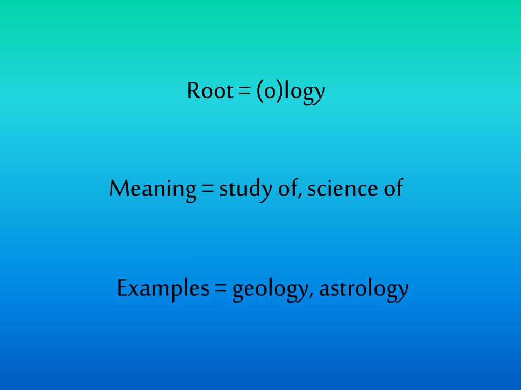 PPT Root = bio, vit PowerPoint Presentation, free download ID2440151