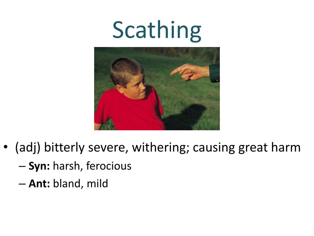 PPT Vocabulary Unit 5 PowerPoint Presentation, free download ID2440246