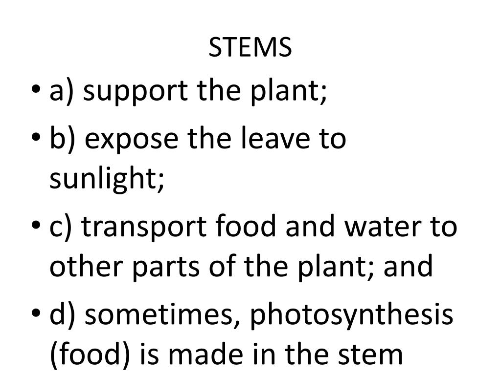 PPT Plant structure PowerPoint Presentation, free download ID2442607