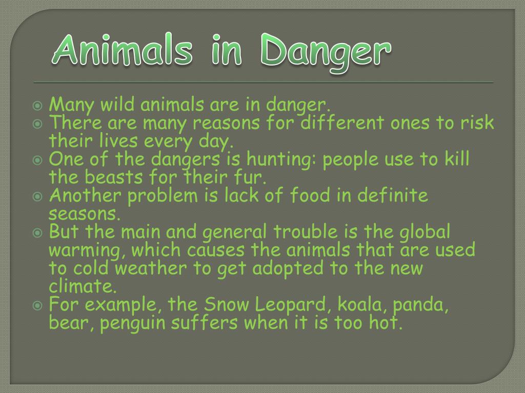 PPT Animals in Danger! PowerPoint Presentation, free download ID2444631