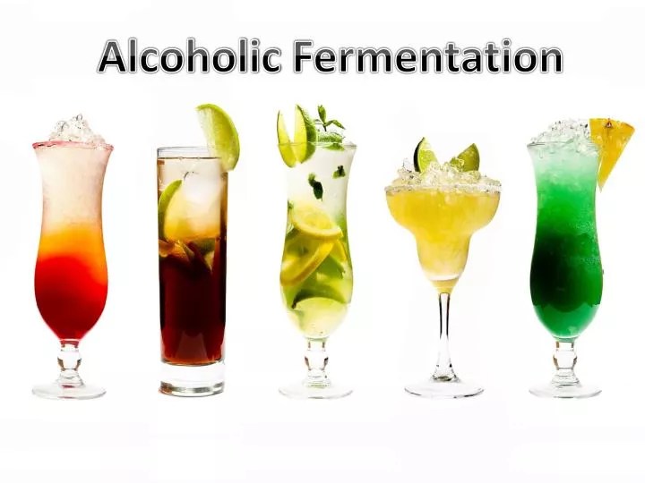 PPT Alcoholic Fermentation PowerPoint Presentation, free download