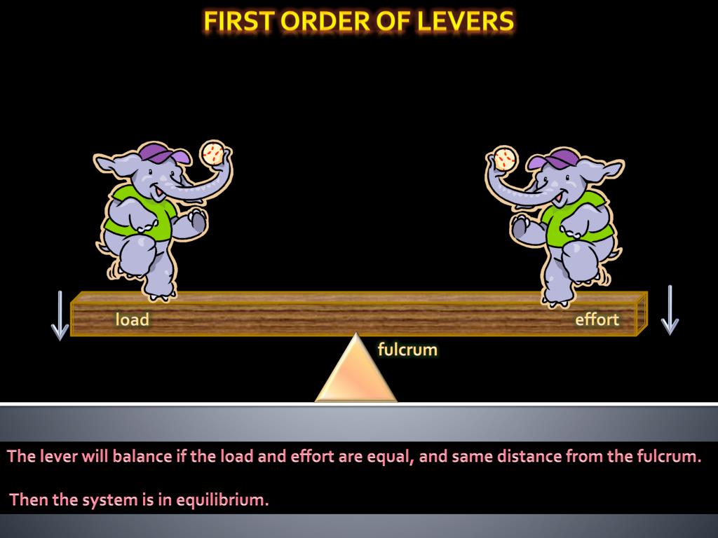 PPT Three types of lever PowerPoint Presentation, free download ID