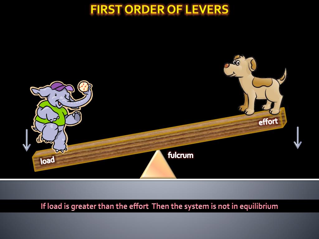 PPT Three types of lever PowerPoint Presentation, free download ID
