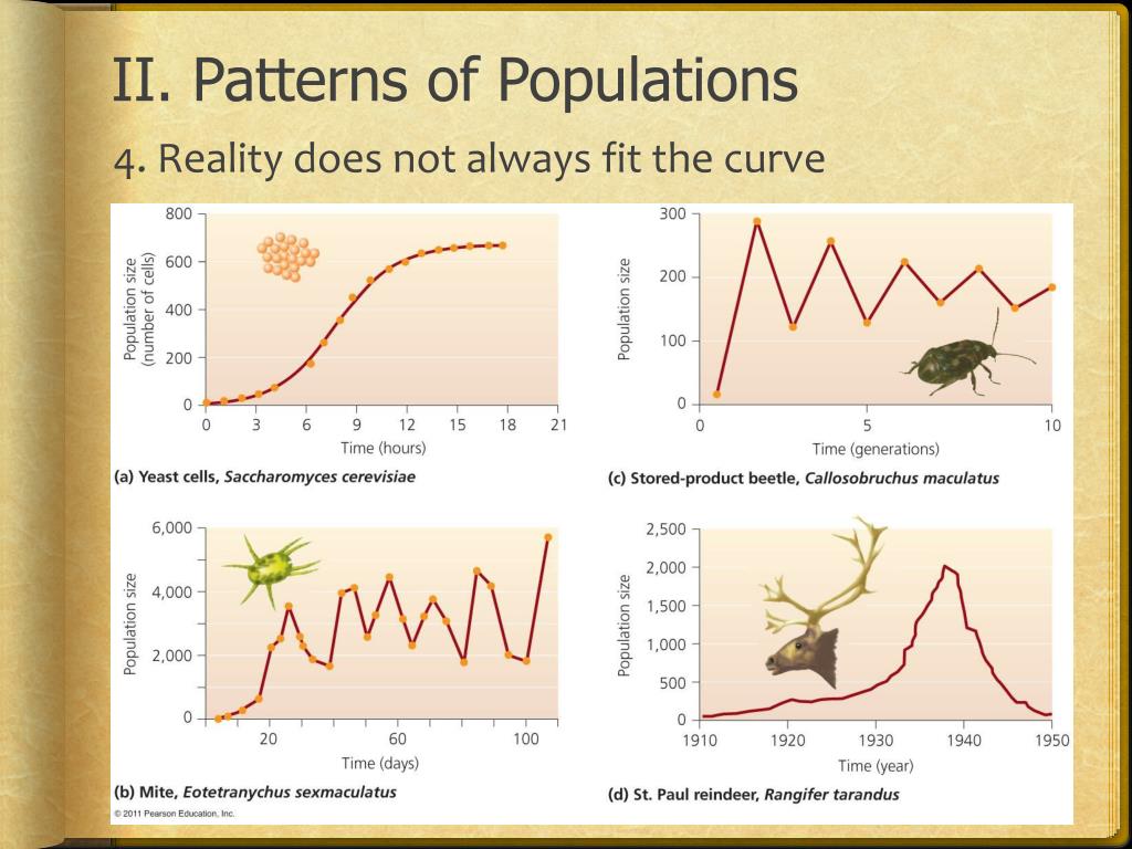 PPT - Population Structure PowerPoint Presentation, free download - ID