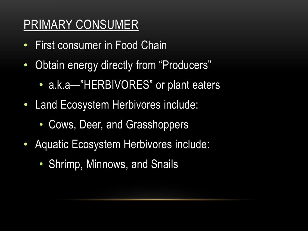 PPT Food s and Chains PowerPoint Presentation, free download ID