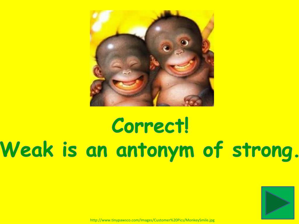 PPT * * * * * * * * * * * * Learning