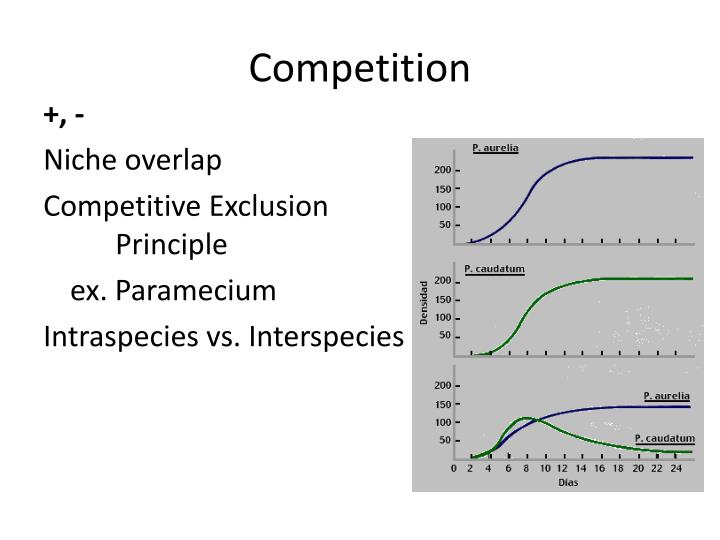 Niches And Community Interactions Key Questions