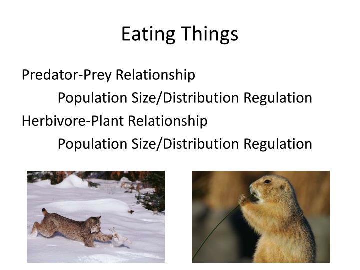 Chapter 4 Section 2 Niches and Community interactions