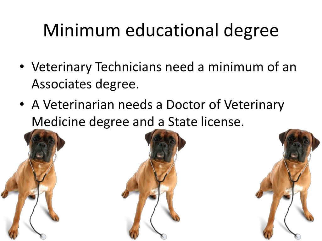 PPT Veterinary Technician/Veterinarian PowerPoint Presentation, free download ID2458201
