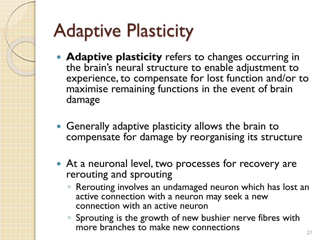 PPT Chapter 9 Mechanisms of Learning PowerPoint Presentation, free
