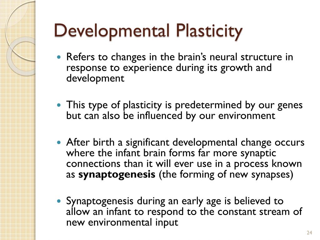 PPT Chapter 9 Mechanisms of Learning PowerPoint Presentation, free