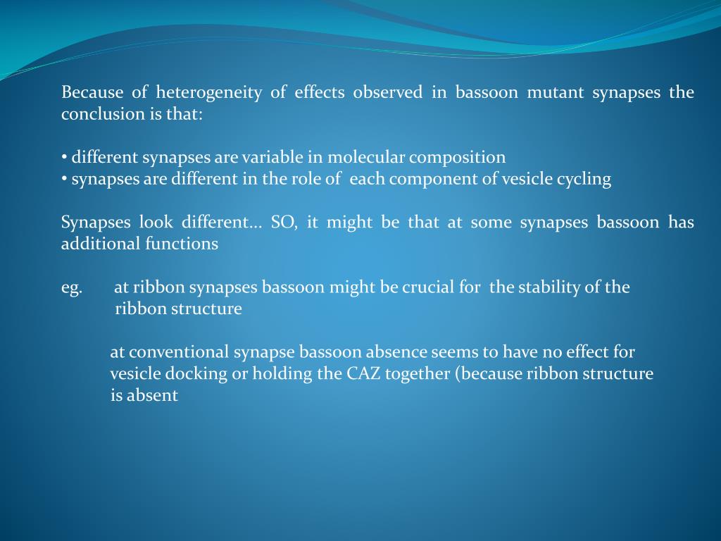 PPT Bassoon speeds vesicle reloading at a central excitatory synapse