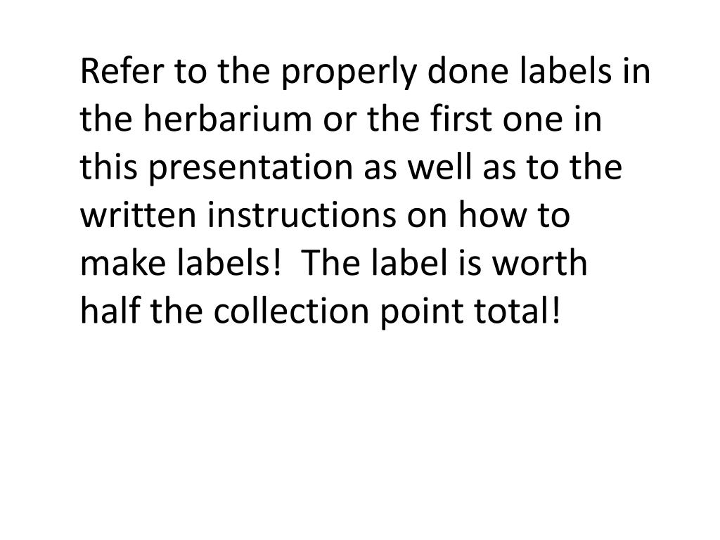 PPT Making Herbarium Labels PowerPoint Presentation, free download