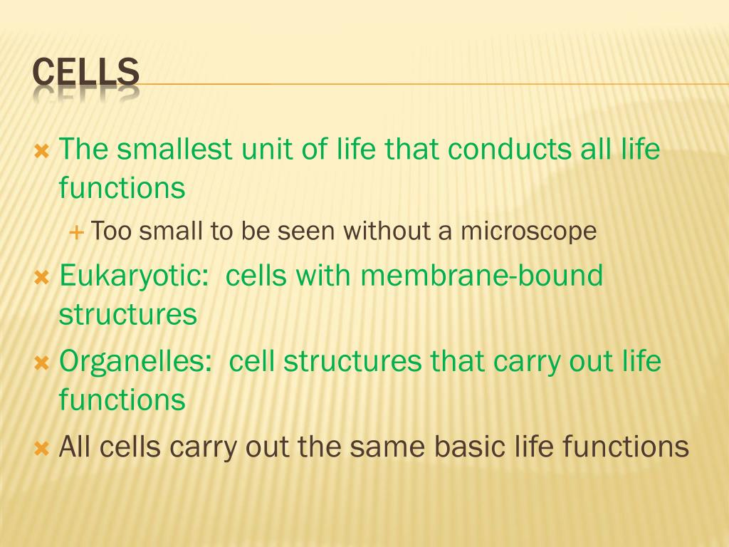 PPT Cell Structure and Function PowerPoint Presentation, free